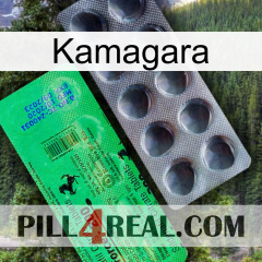 Kamagara new04